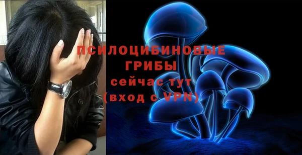соль ск Абинск